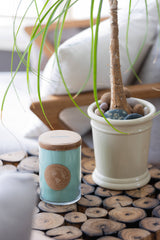Seagrass Candle, 26oz
