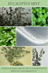 8oz mason EUCALYPTUS MINT