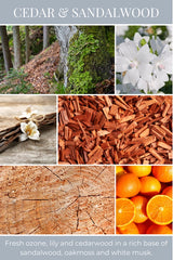 Candle, Cedar & Sandlewood