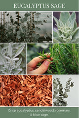 Candle, Eucalyptus Sage, 26oz