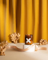 Warm Ginger Pure Soy Candle, 4oz