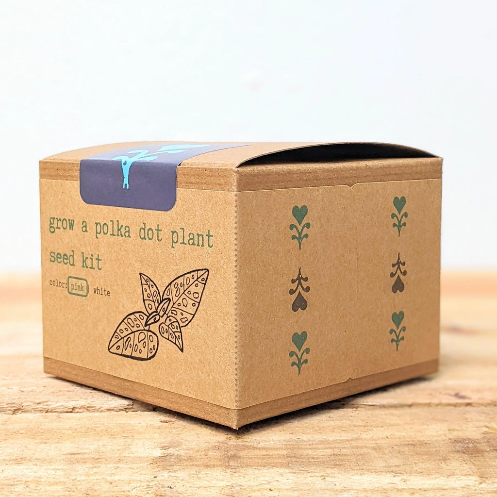 plant seed kits Grow A Polka Dot Plant Seed Kit – Remedy Holistic