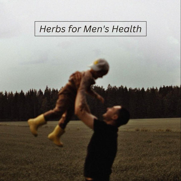 Herbs for Men’s Health
