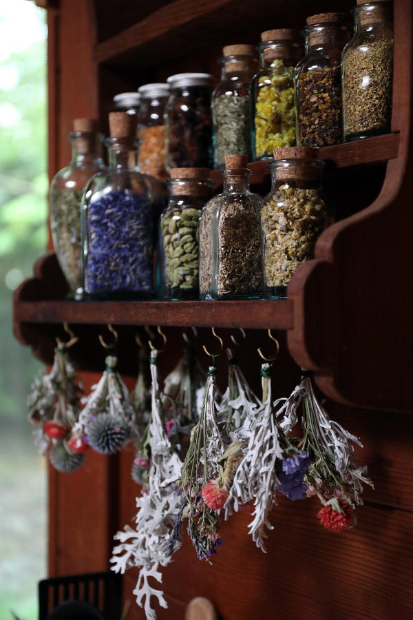 Herbal Medicine: A Blend of Art and Science 