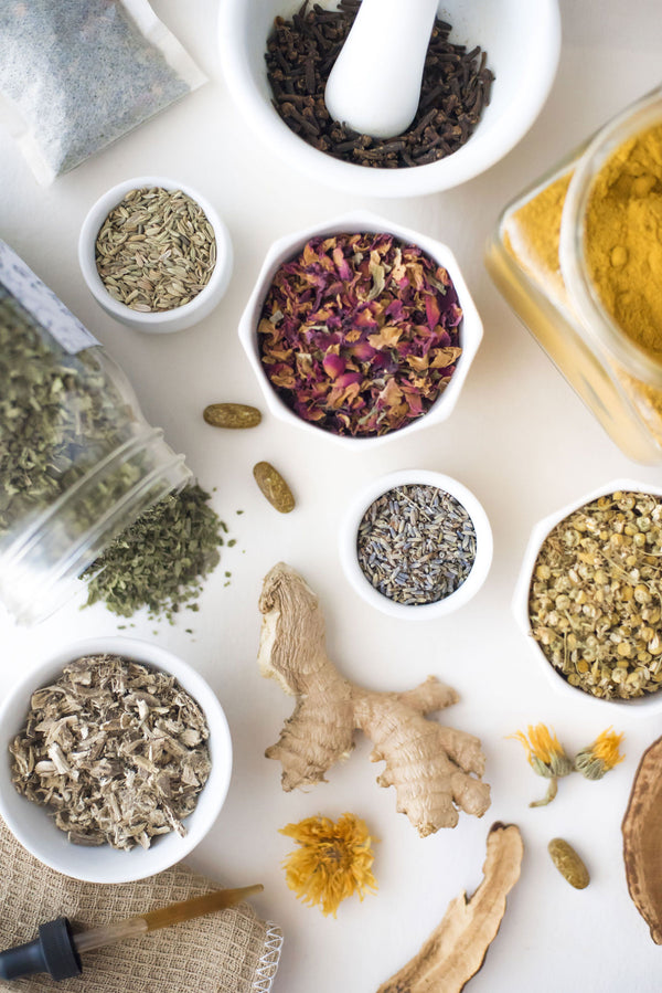 Digestion Essentials for Fall
