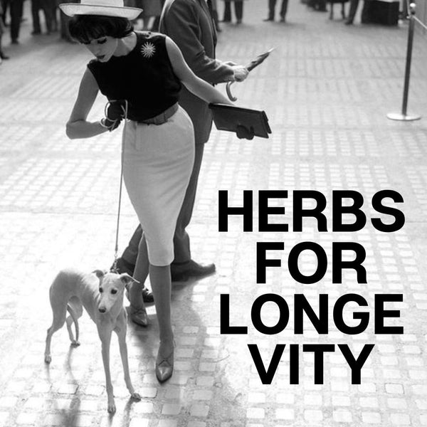 Aging Well: Botanical and Nutritional Support for Vitality and Longevity