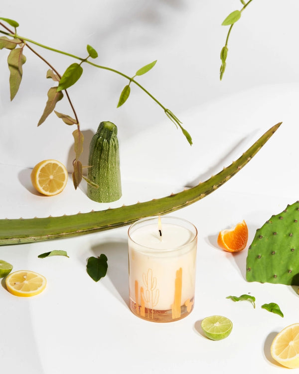 Cactus Soy Candle, 12 oz