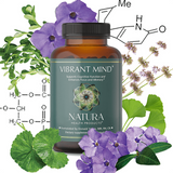 Vibrant Mind, 90ct