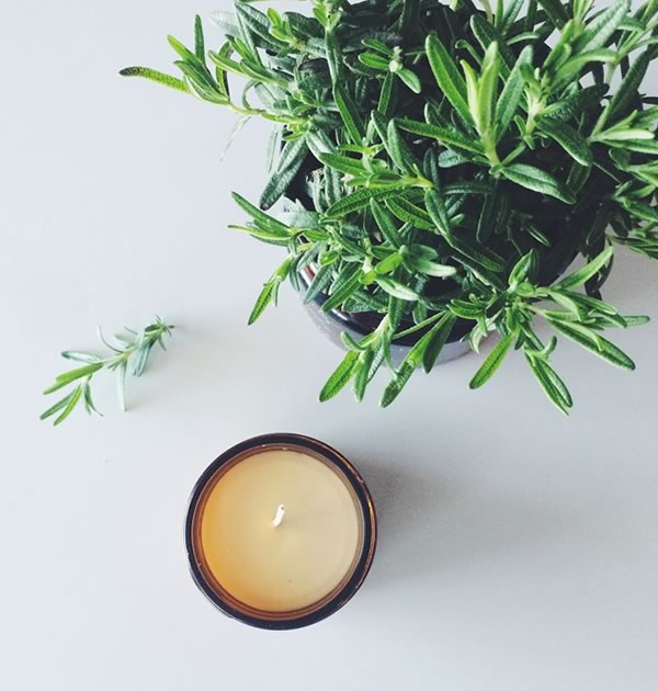 Rosemary + Mint Soy Candle, 9 oz.