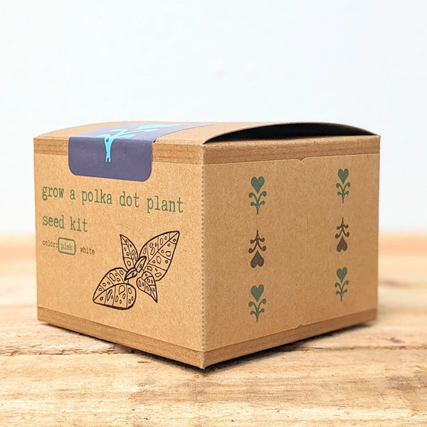 Grow A Polka Dot Plant Seed Kit