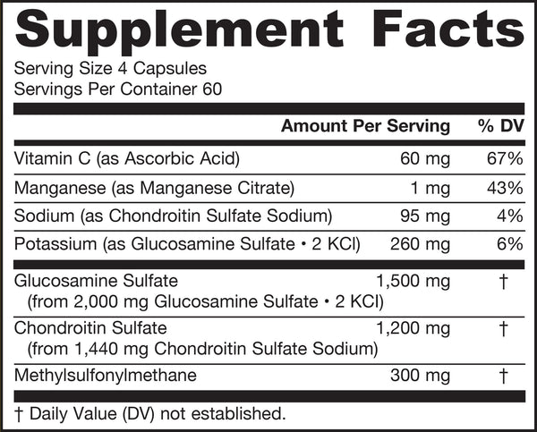 Glucosamine Chondroitin MSM 240ct